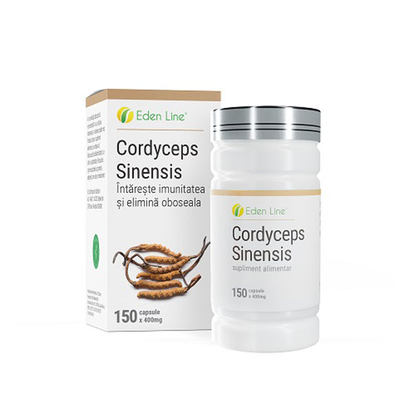 Cordyceps sinensis Cordyceps sinensis