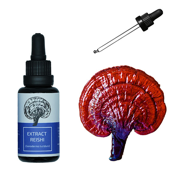Reishi extract tinctura - 50ml