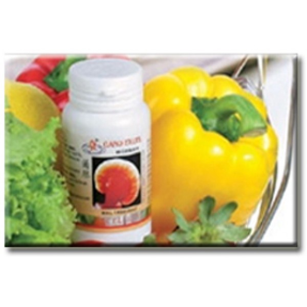 Ganoderma Excellium  90 capsule