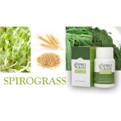 Suplimente nutritive Ganoderma